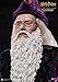 Star Ace Toys Harry Potter and the Sorcerer's Stone: Albus Dumbledore Deluxe Edition Action Figure (1:6 Scale)
