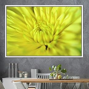signwin Framed Canvas Wall Art Blooming Closeup Botanical...