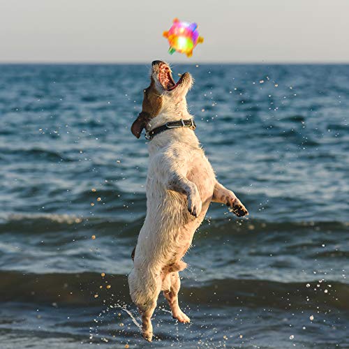 jumping ball for dog