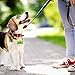 YITE Dog Poop Bags，Dog Waste Bags Doggy Bags 8 Rolls/120 Bags Pet Poop Bag Dag poop waste doggy Pets Includes Dispenser (green) (chery)
