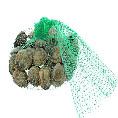 AVIRGO Food and Seafood Storage Plastic Mesh 45x35 cm 18x14 inch Set of 100 pcs Green