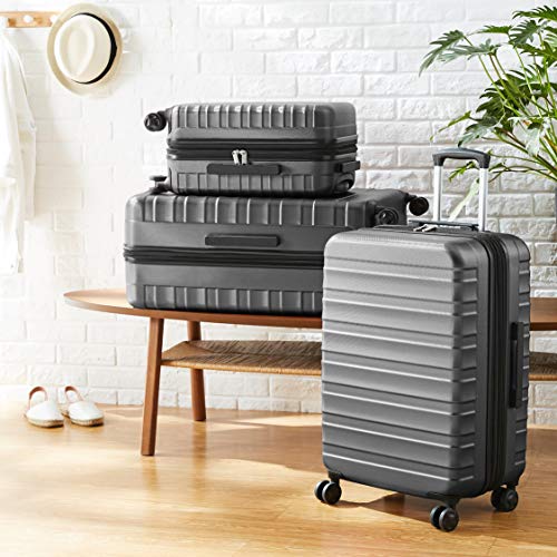 AmazonBasics 20"/24"/28" Luggage Set, Grey Pricepulse