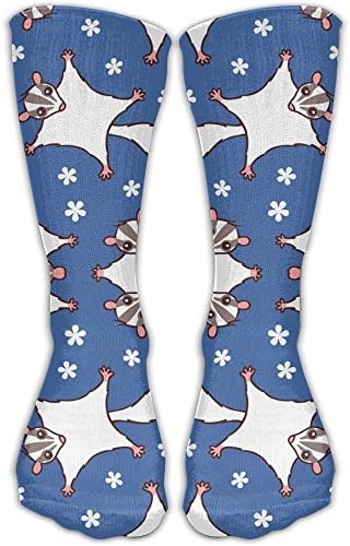 Deamgjsh Sweet Sugar Glider With FlowersWanderlust Air Travel Compression Socks For Men &amp; Women. Guaranteed To Prevent Swelling, Pain, Edema.