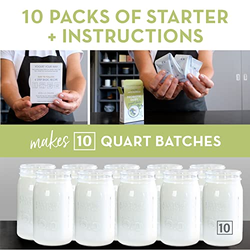 Probiotic Yogurt Starter Culture 10 Qt Plain Yogurt All Yogurt Makers