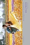 Bollywood: A Guidebook to Popular Hindi Cinema (Routledge Film Guidebooks) 2nd (second) Edition by Ganti, Tejaswini published by Routledge (2013)
