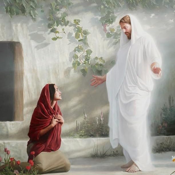 The Book of Mormon: Another Testament of Jesus Christ (Official Edition)