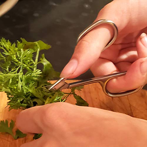 SpitJack Small, Sharp, Precision, Mini Scissors for Kitchen, Twine, String, Herbs, Sewing, Moustache, Beard, and Nose Hair. Safe for Children, Adult and Pet Grooming. 4 Inch Stainless Steel. 2 Pack. - Thumbnail 6