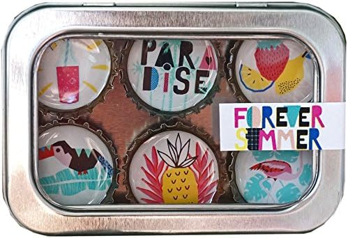 Kate Grenier Designs 6 Piece Forever Summer Magnet Set, Multicolor (m6: forev)