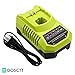 P117 Charger Dual Chemistry for Ryobi 18V 14.4V 12V 9.6V Battery Lithium Ni-Cd Ni-Mh P100 P102 P103 P104 P105 P107 P108