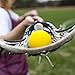 Champion Sports Official Lacrosse Balls - Multiple Colors in Packs of 2, 3, 6, and 12