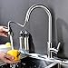 Stainless Steel Kitchen Faucet with Pull Down Sprayer, High Arc Single Handle Faucets for Kitchen Sink with Deck Plate, Brushed Nickel, Naturous