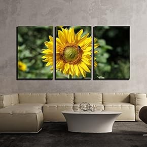 3 Piece Canvas Wall Art - Closeup of The Sunflower with a Bee - Modern Home Art Stretched and Framed Ready to Hang - 16"x24"x3 Panels