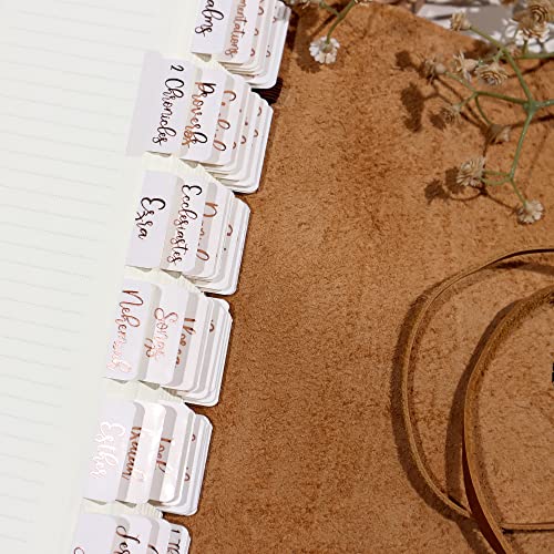 Idyllic Grace Creamsicle Bible Tabs Bronze Foil Bible