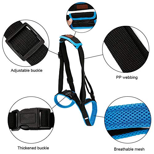 KOBWA Dog Lift Dog Mobility Lift Support Harness for for Hip Assist Stability Injured Disabled Arthritis ACL Joint Pain Elderly(L Size) - Thumbnail 5