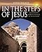 In the Steps of Jesus: An Illustrated Guide to the Places of the Holy Land (In the Steps of Series)