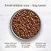 Rachael Ray Nutrish Premium Natural Dry Cat Food, Chicken & Brown Rice Recipe, 3 Pounds