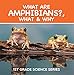 What Are Amphibians?, What & Why : 1st Grade Science Series: First Grade Books - Herpetology (Childr by Baby Professor