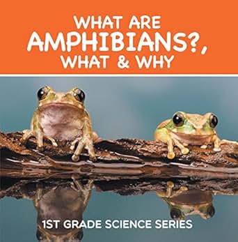 What Are Amphibians What Amp Why 1st Grade Science