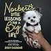 Norbert's Little Lessons for a Big Life 2019 Wall Calendar