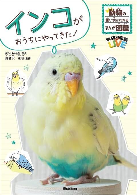 インコがおうちにやってきた 動物の飼い方がわかるまんが図鑑 海老沢和荘 本 通販 Amazon