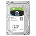 Seagate SkyHawk 3TB Surveillance Internal Hard Drive HDD – 3.5 Inch Sata 6Gb/s 256MB Cache for DVR NVR Security Camera System with Drive Health Management (ST3000VX010)