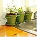 Window Garden Rustic Charm 6” Planter - Fine Home Décor Ceramic Indoor Decorative Pot. for or Herbs, Flowers, Succulents. Beautifully Packaged, Great Gift for Mom, Office, Holiday.