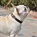 Genuine Leather Dog Collar with Alloy Buckle and Double D Rings (Large, Brown)