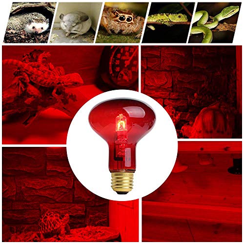 OMAYKEY 75W 2 Pack Infrared Heat Lamp Bulb Red Light Glass Heating Lamps Bulbs for Lizard Snake Chameleon Bearded Dragon Aquarium Reptiles & Amphibians - Thumbnail 4