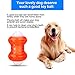 PERSUPER Interactive Dog Balls Toys Durable Ball - Rubber Dog Toy Chew Toys Ball Squeak Toys Training Playing Pet Toy Indestructible Balls for Small, Medium and Large Dogs