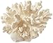 Deep Blue Professional ADB80060 Cauliflower Coral for Aquarium, 6 by 6 by 4-Inch