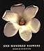 One Hundred Flowers by Harold Feinstein