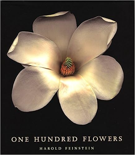 One Hundred Flowers, by Harold Feinstein One Hundred Flowers, by Harold Feinstein