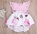 Newborn Infant Baby Girls Dress Floral Flutter Lace Sleeve Dresses Ruffle Romper Skirts Summer Clothes