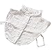 DDLBiz Women Lace Hook Flower Vintage Fake Shirt Collar Necklace Choker Collar (White)