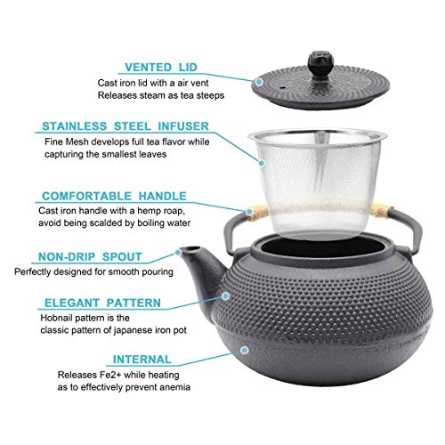 Hwagui Large Cast Iron Teapot With Infuser For Varieties Of Loose