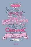 L'arrivée ! (Le malicieux journal des sœurs Mouche au collège de Castelroc t. 1) (French Edition) by
