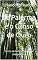 Livro Zé Palerma e o Ganso de Ouro: Conto de fadas tradicional (Adaptação)