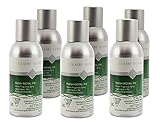 6 Pack Claire Burke Home Fragrance Spray, Fresh Royal Fir