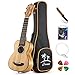 Donner Zebrawood Ukulele Soprano DUS-2 21 inch Ukulele Kit with Case Tuner Strap Nylon String