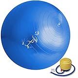 Exercise Ball 65cm - Anti-Burst Yoga Ball - For ab Workout - Foot Pump Included