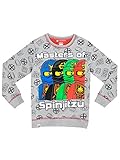 Lego Ninjago Boys' Lego Ninjago Sweatshirt