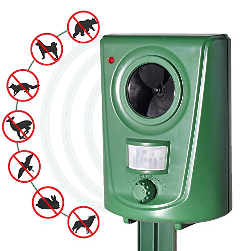 Best bird deterrent products ultrasonic to buy in 2020 Aalsum Reviews