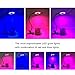 GROWSTAR Led Grow Light 10W Plant Light Desk Grow Light with 360° Adjustable Gooseneck for Office/Home/Indoor Plants and House Flowers