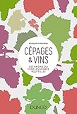 Cépages & vins : Ces raisins qui font les bonnes bouteilles by