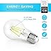 SHINE HAI A19 LED Vintage Filament Bulb, 4W (40W Equivalent), 5000K Daylight White, E26 Base, Omnidirectional, Pack of 18