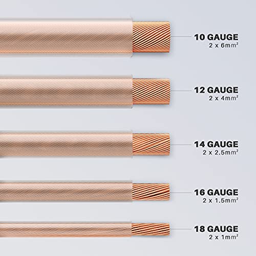 GearIT 10 Gauge Speaker Wire (100 Feet), Copper Clad Aluminum, CCA