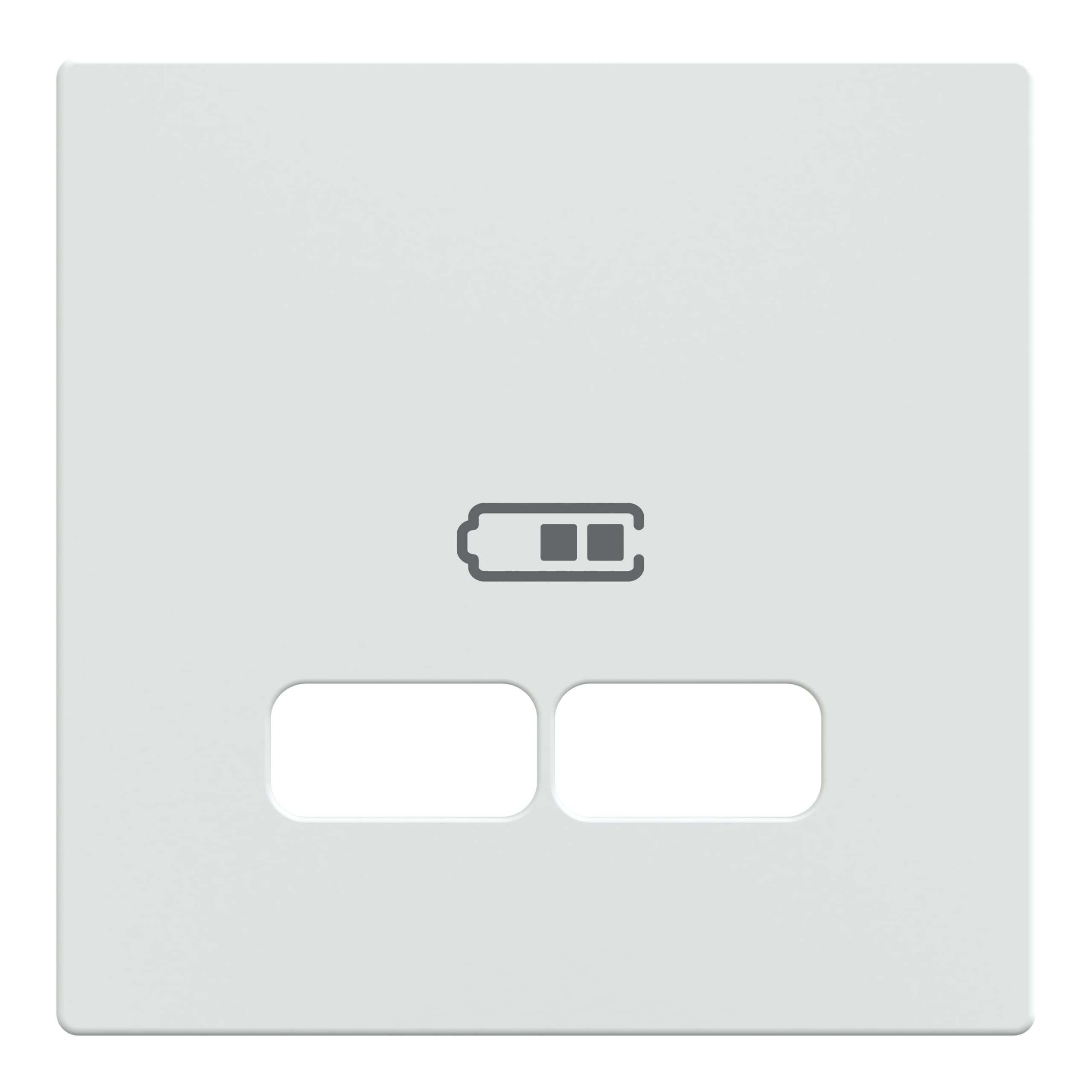 Central Plate for USB Charging Station Insert, Glossy Polar White, System M