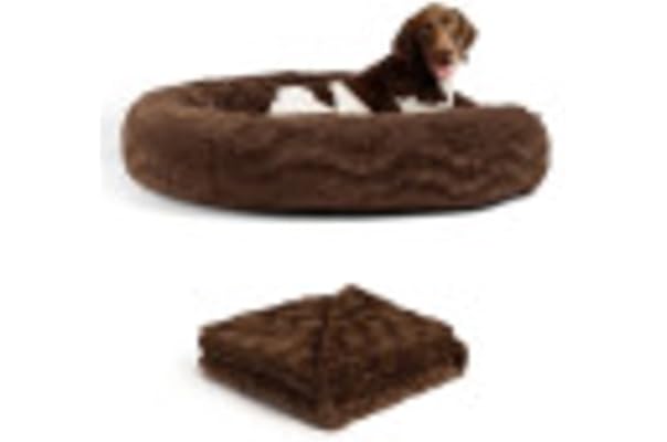 cute cat beds amazon