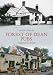 Forest of Dean Pubs Through Time by 