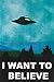 (24x36) The X-Files I Want To Believe TV Poster Print